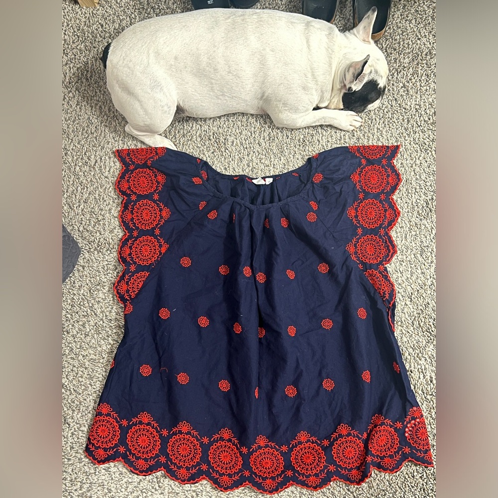 Gap beautiful blue and red!  Perfect for July 4th size Large.  Worn 1 time